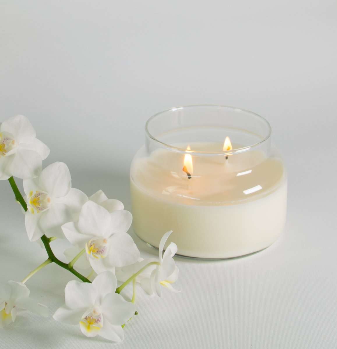 Fox & Ivy Soy Candle French Pear plantandpot.nz