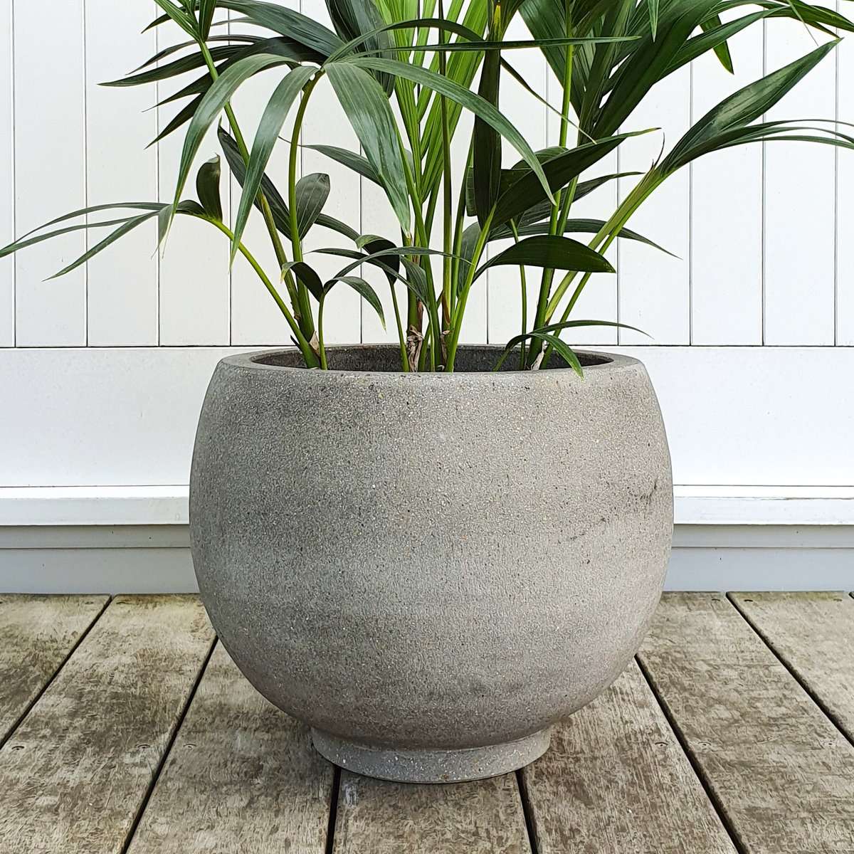 Cut Ball Planter Textured Concrete Finish plantandpot.nz